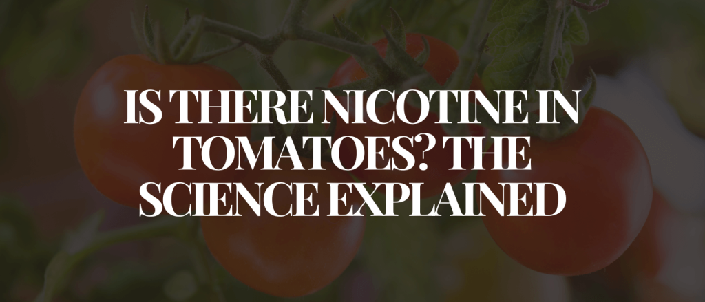Is There Nicotine in Tomatoes_ The Science Explained