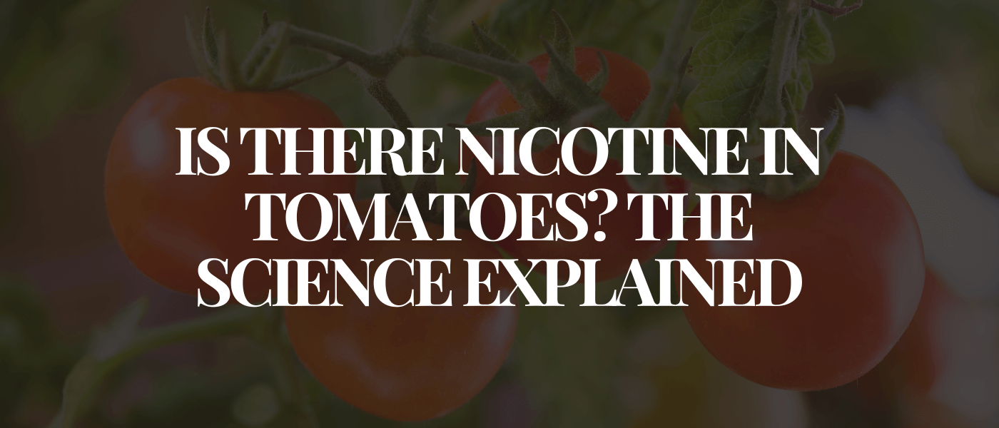 Is There Nicotine in Tomatoes_ The Science Explained