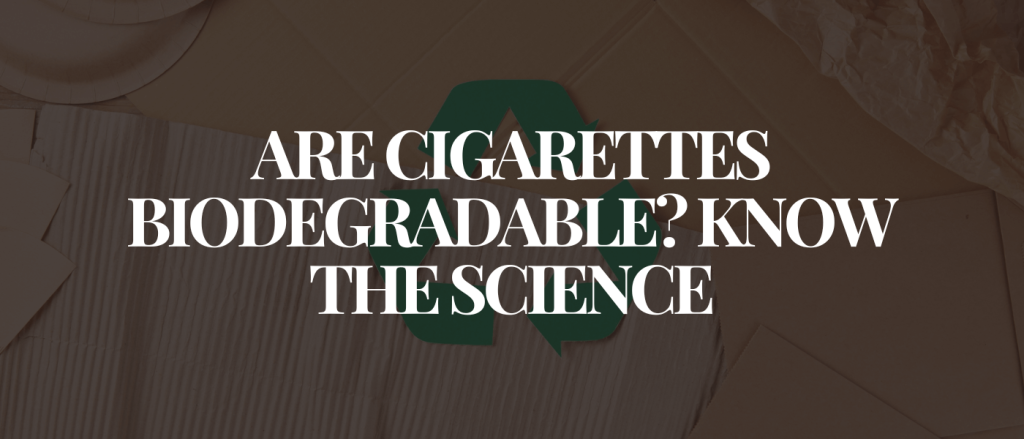 Are Cigarettes Biodegradable Know the Science