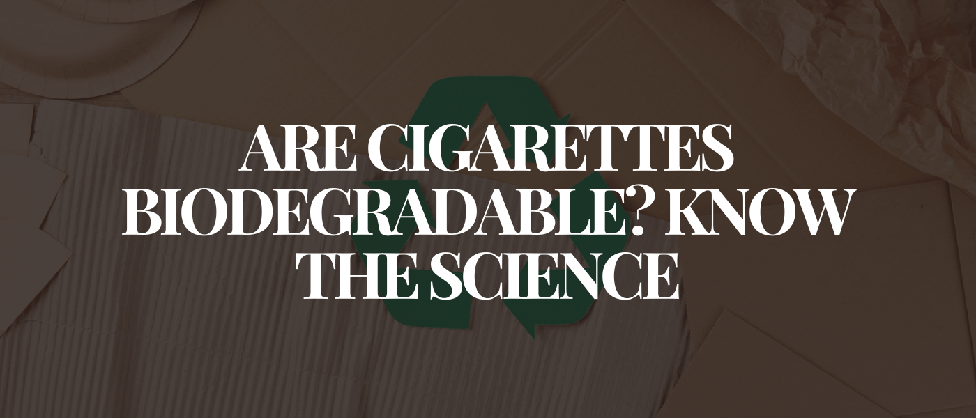 Are Cigarettes Biodegradable Know the Science